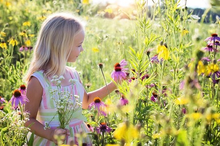 Crecer en contacto con la naturaleza es fundamental para la salud, desarrollo y aprendizaje del niño: actividades para fomentarlo