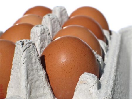 Medidas para evitar la contaminación por salmonella en los huevos