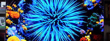 Las Smart TV OLED serán más brillantes, eficientes y resistentes: estas son las principales mejoras que llegarán a partir de 2023