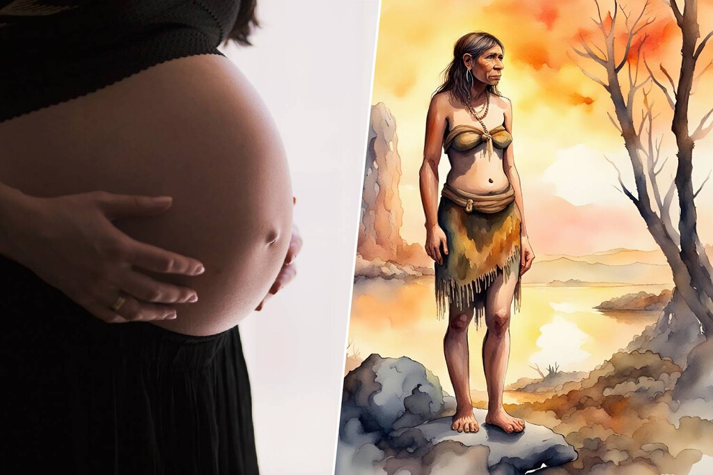 Llevamos décadas buscando el fin de los neandertales en las armas y el clima. Un estudio propone buscarlo en la placenta