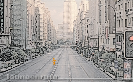 Avenida desierta y sin coches