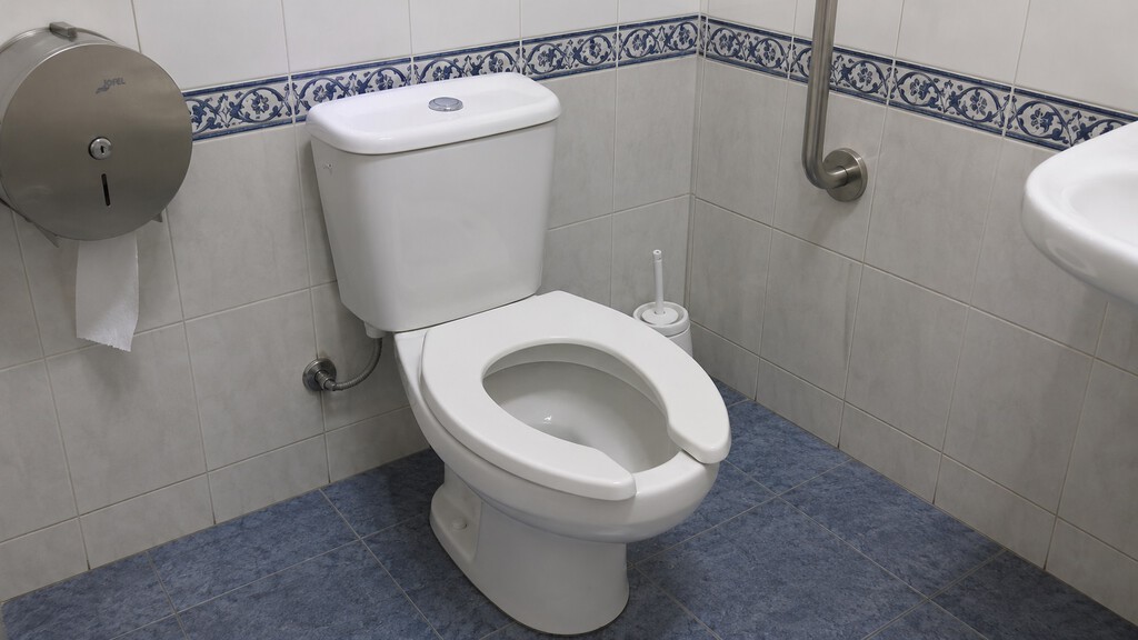 Por qué hay baños que tienen los inodoros con esta forma de herradura: esta es su función 