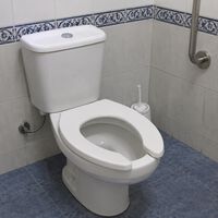 Por qué hay baños que tienen los inodoros con esta forma de herradura: esta es su función 