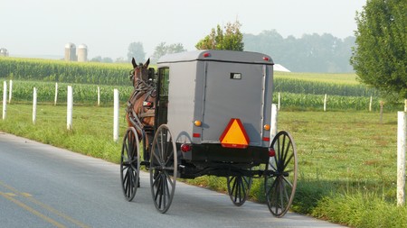 Amish Buggy 2