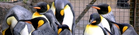 Linux.com