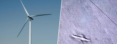 Navio naufragado de 400 anos é encontrado na Dinamarca em obras do maior parque eólico do mundo  