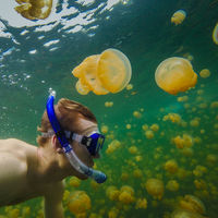 ¿Te bañarías en el lago de las Medusas?