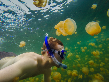 ¿Te bañarías en el lago de las Medusas?