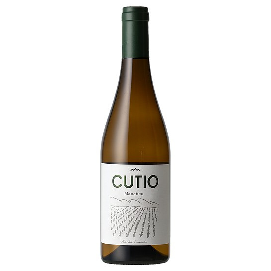 Cutio Macabeo 2024