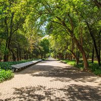El Bosque de Chapultepec prepara un cambio histórico para convertirse en un referente ambiental en el mundo 