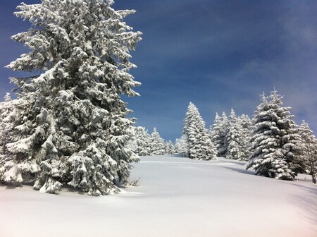 Winter 476742 1920