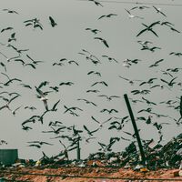 Andalucía lleva décadas comprando y enterrando la basura del resto de Europa. Y ahora ha dicho "basta"