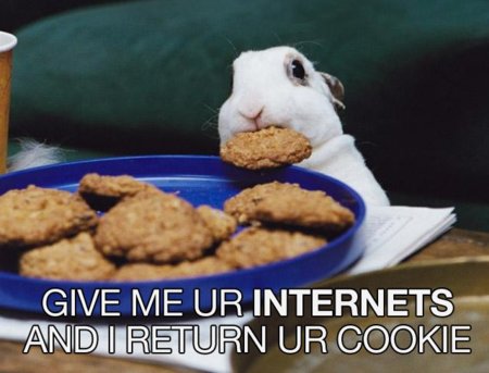 Internet is a series of Blogs (XLIX)