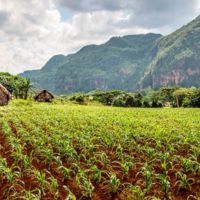 Pinar del Río, el interior verde de Cuba