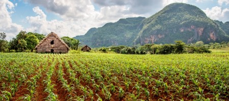 Pinar del Río, el interior verde de Cuba