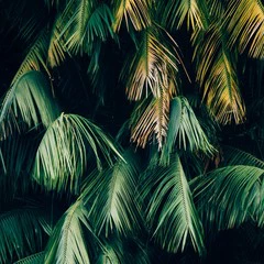 Foto 3 de 13 de la galería fondos-de-naturaleza en Xataka Android