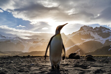 Qué es Linux y cómo funciona