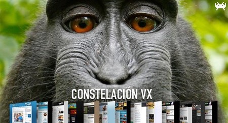 Selfies sobre monos, computación cuántica y razones para instalar un SSD. Constelación VX (CCV)