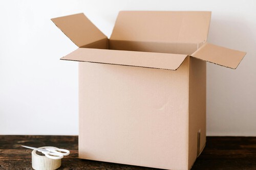 Pexels Karola G 4498135