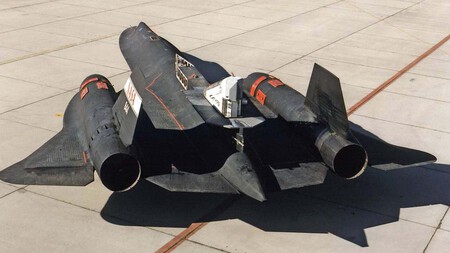 Blackbird 7