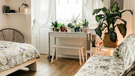 Decoración
