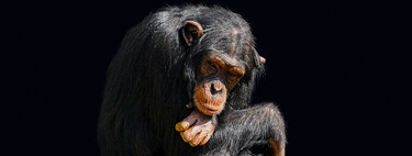 La recuperación del empleo es una ficción y todavía estamos muy lejos de remontar  