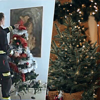 No sabía que hasta el árbol de Navidad tenía que ser certificado hasta que escuché los consejos de los bomberos para evitar incendios