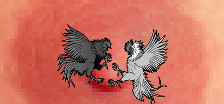 Instagram censura los pezones femeninos pero permite las peleas de gallos 