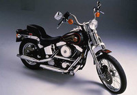 Seis motores para una historia, Harley Davidson Evolution-blockhead (5)