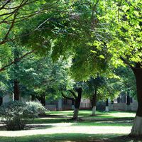 Si la pregunta es si los árboles y la vegetación sirven para combatir el calor, el Bioparc de Valencia tiene la respuesta: 13 grados menos