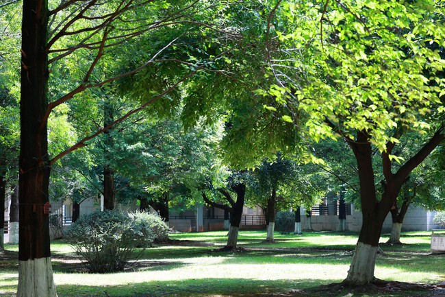 Parques Ciudad