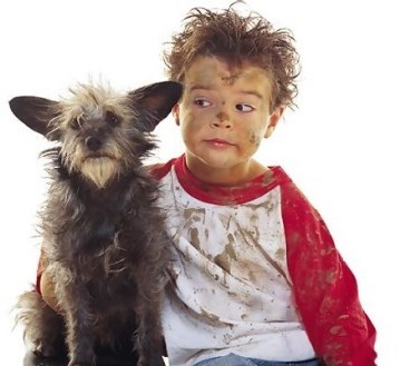 Mordiscos y arañazos de mascotas