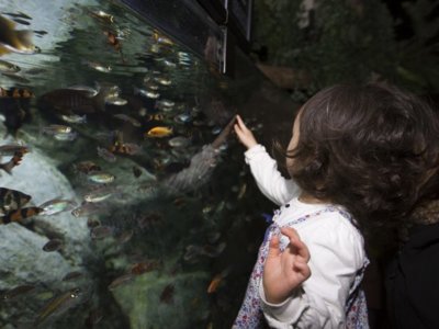 Museos, rutas turísticas, monumentos... Los niños también los disfrutan 