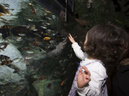 Museos, rutas turísticas, monumentos... Los niños también los disfrutan