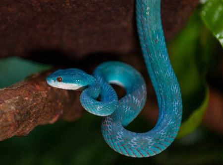 Captura De Pantalla 2026 03 26 174813