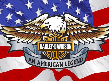 Harley Usa 1 2024