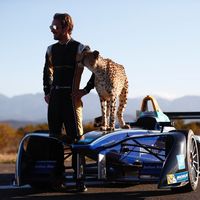 ¿Quién acelera más un Fórmula E o un guepardo? Y no es el que tú estás pensando