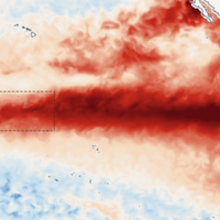 "O El Niño mais intenso do que qualquer outro nos últimos mil anos": especialistas não têm certeza do que vai acontecer, mas os sinais de alerta não param de se acumular 