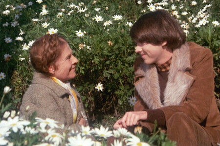 Harold Maude