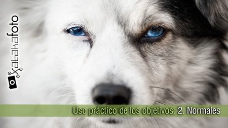 Uso práctico de los objetivos: 2. Normales