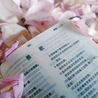 There’s an Underground Movement of Women Reading Homosexual Erotic Literature in China. The Government Is Cracking Down on It 