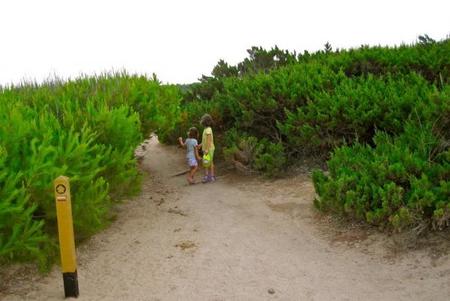 Senderismo con niños Mallorca