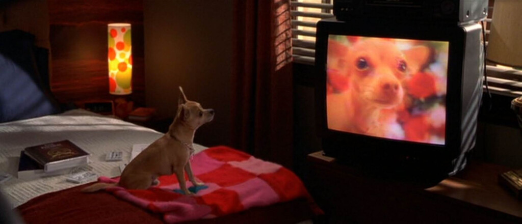 Hoy, gratis y por tiempo limitado, una comedia carismática e inolvidable con una gran estrella en su apogeo