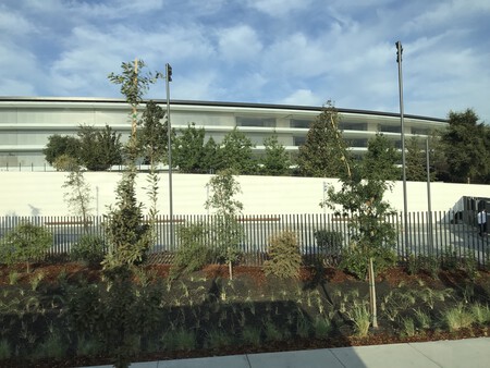 Un paseo por el Apple Park con estas 18 fotos tomadas por mí