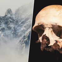 Llevamos décadas preguntándonos por qué se extinguieron los neandertales. Así que estamos estudiando su nariz