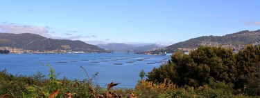 Esta bonita ruta de senderismo está en Vigo, tiene vistas privilegiadas a la ría y es apta hasta para niños 