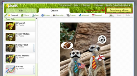 Google por fin integra Picnik en Picasa como editor de imágenes