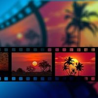 Potenciar la transformación digital de las pymes gracias a The Video Network