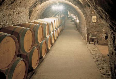 bodega subterranea