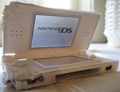 NDS Lite Vs Perro, Round 1